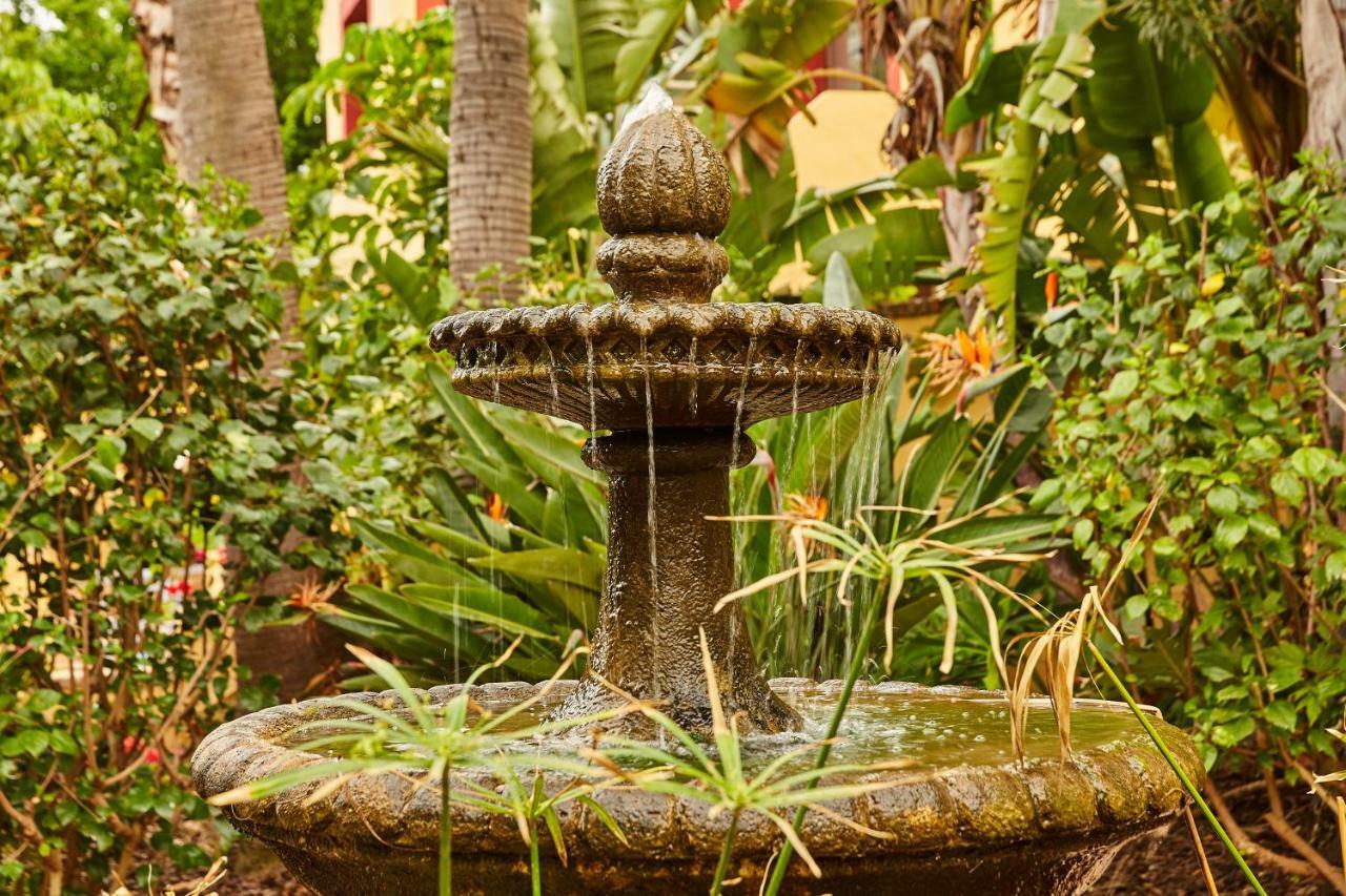 Апартаменты Finca Fenix Эль-Чорро Экстерьер фото